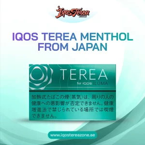 IQOS TEREA Balanced Regular Japan In Dubai-Iqos Terea Zone