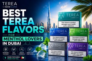 Best TEREA Flavors for Menthol Lovers in Dubai