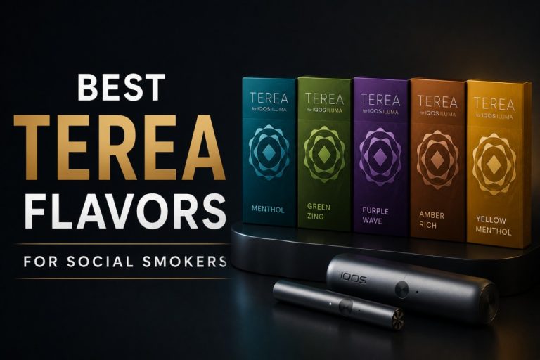 Best TEREA Flavors for Social Smokers: A Complete Guide