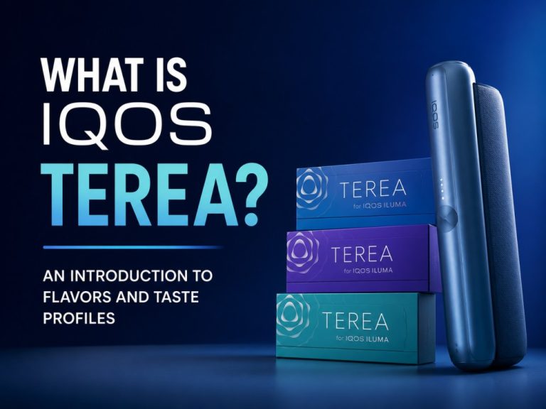What is IQOS TEREA? An Introduction to Flavors and Taste Profiles